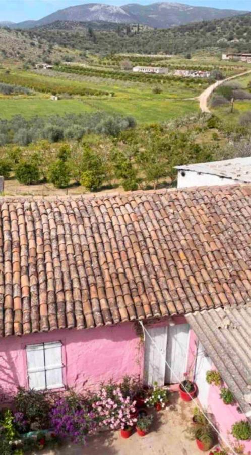 Sunny House At Ancient Mycenae, Close To Nafplio! Mykines Екстериор снимка